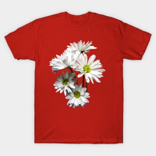 Daisies - Cascade of White Daisies T-Shirt